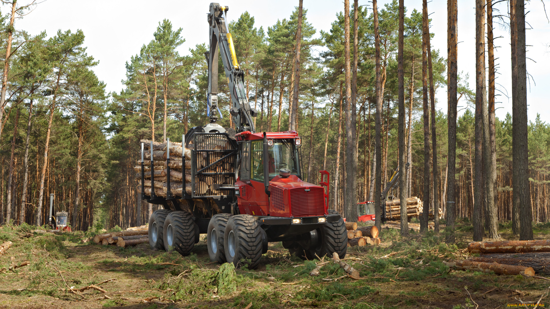 техника, лесоповалочная, техника, komatsu