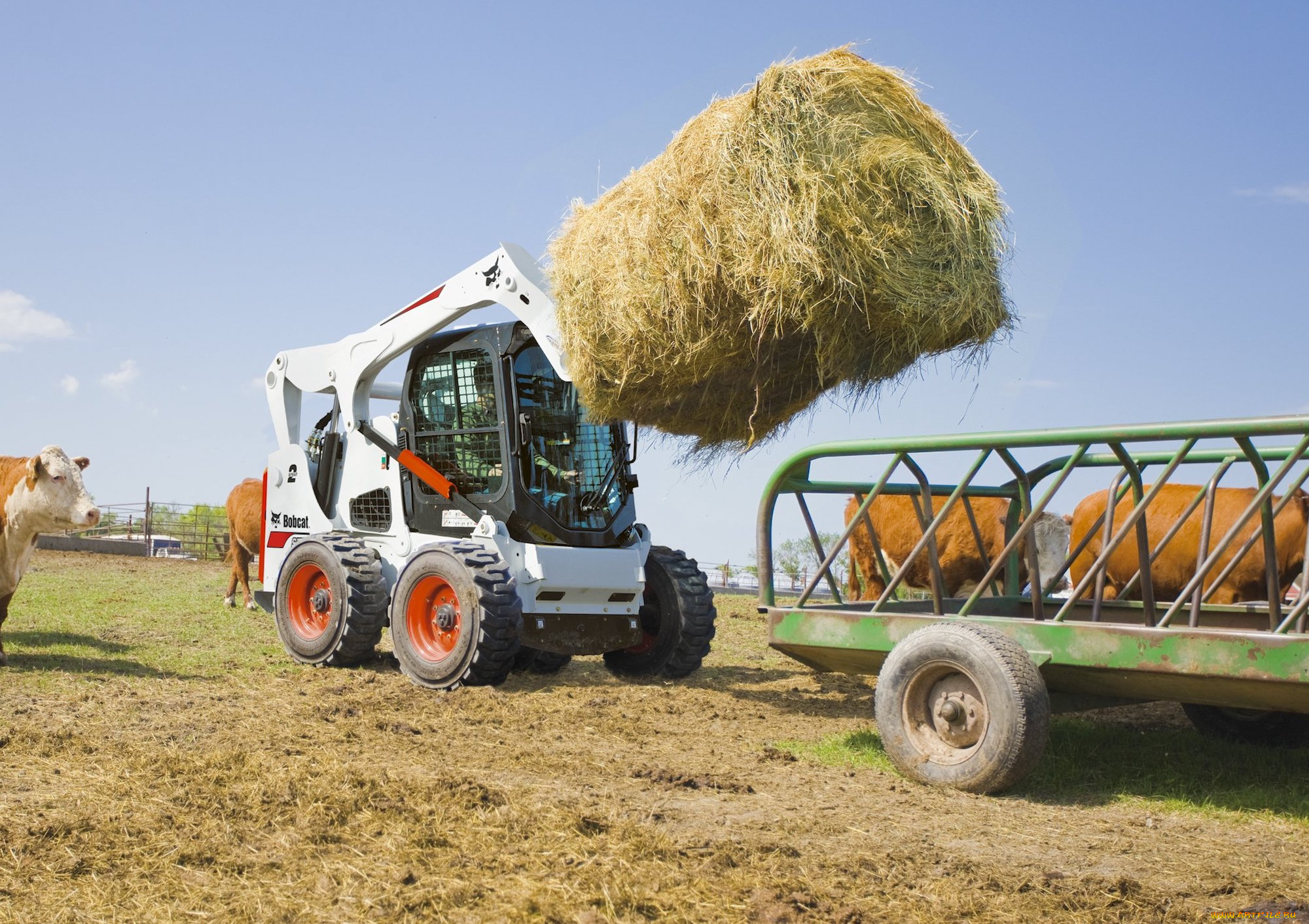 техника, фронтальные, погрузчики, bobcat