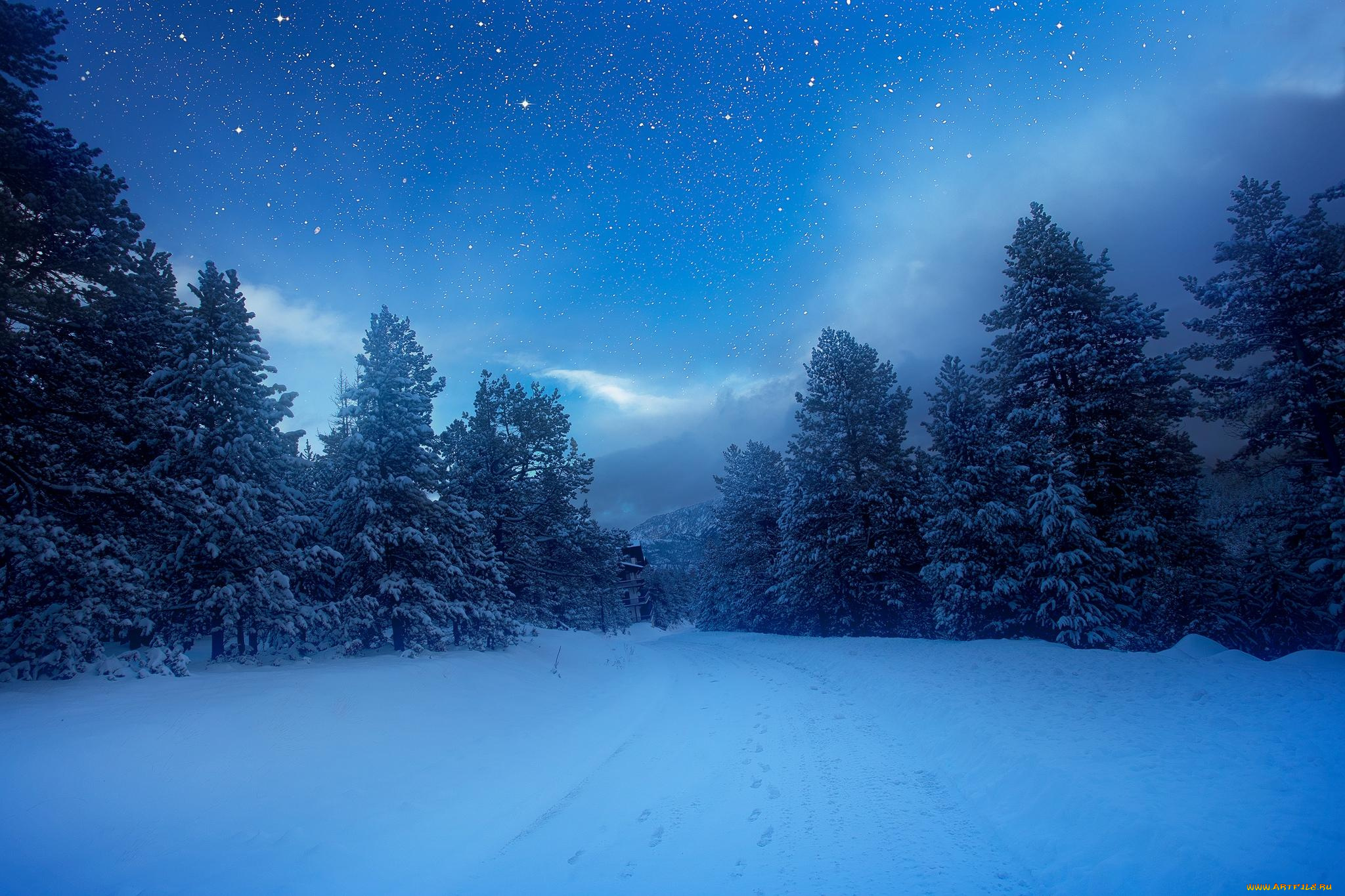 природа, зима, лес, снег, деревья, пейзаж