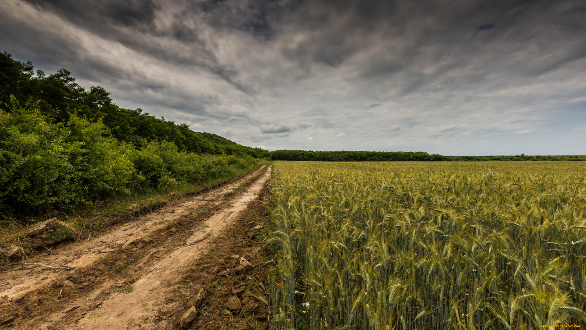 природа, дороги, простор