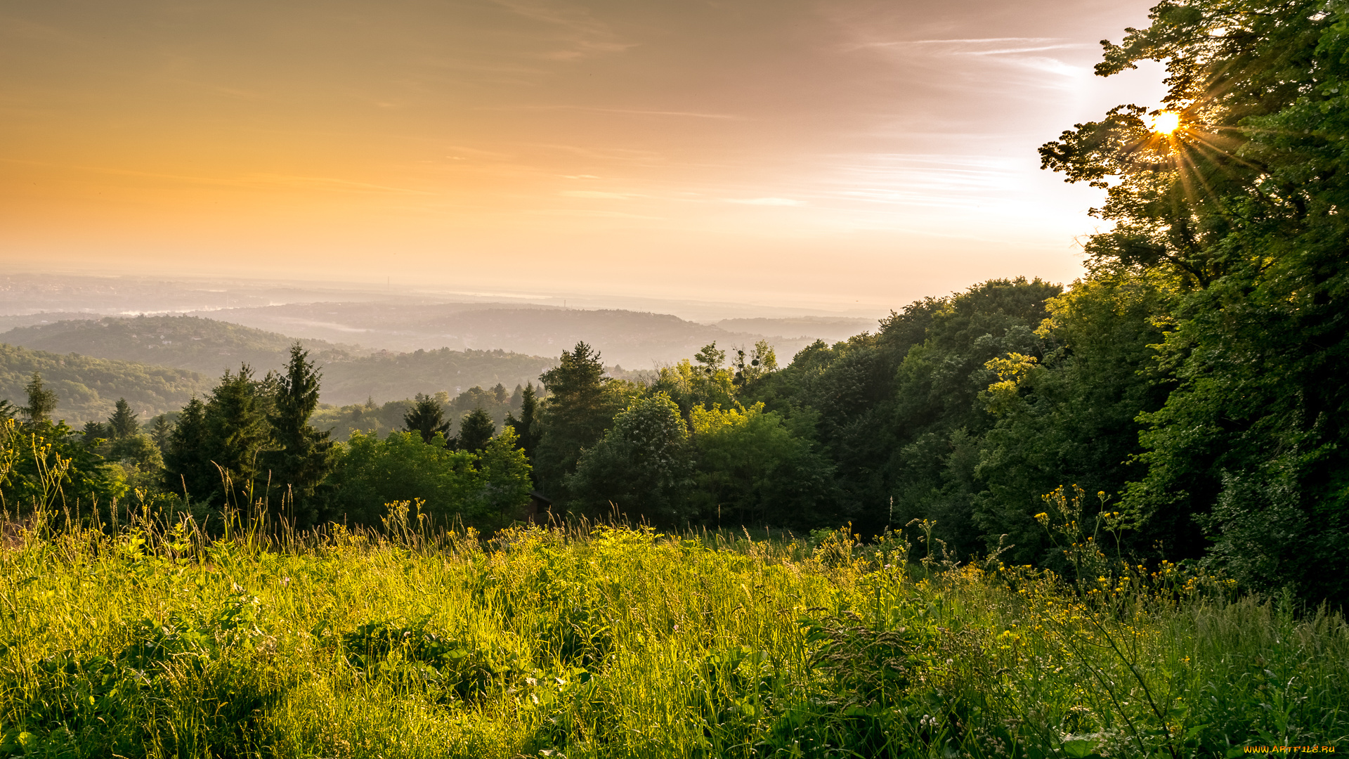 природа, луга, простор