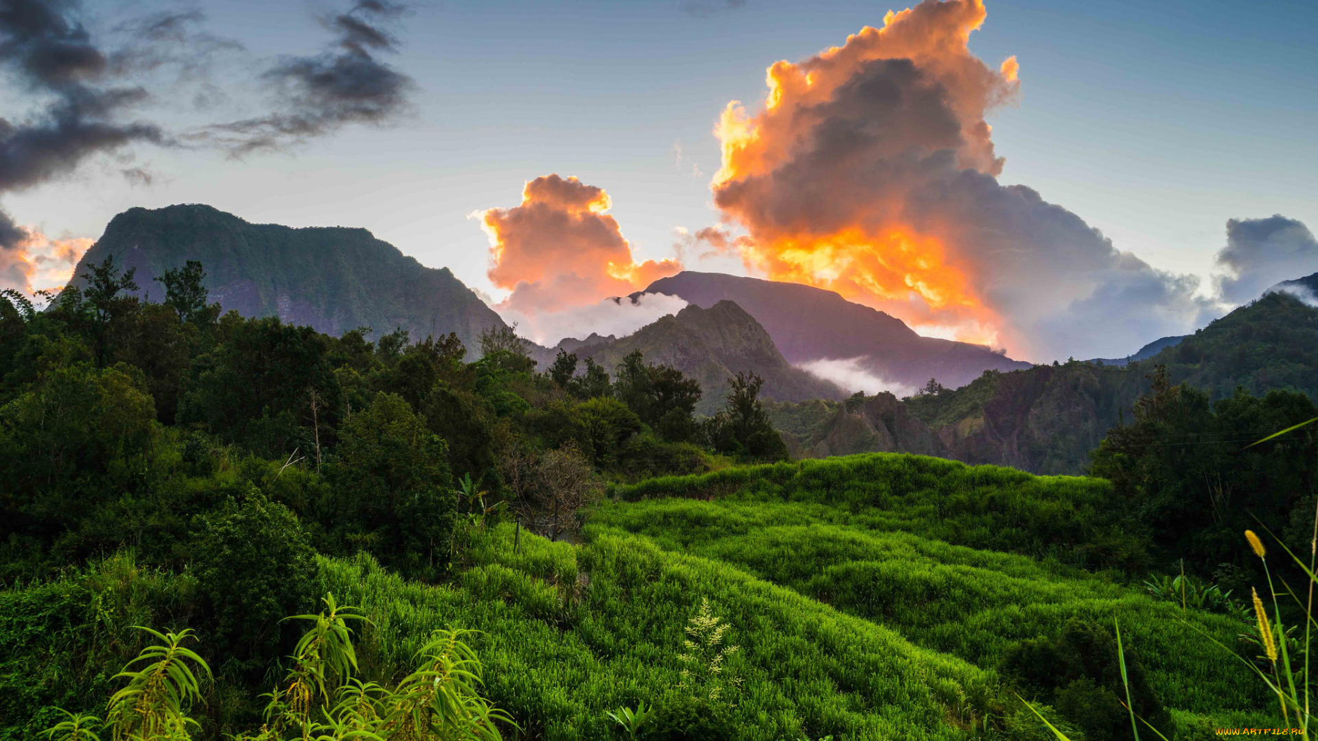 природа, пейзажи, простор