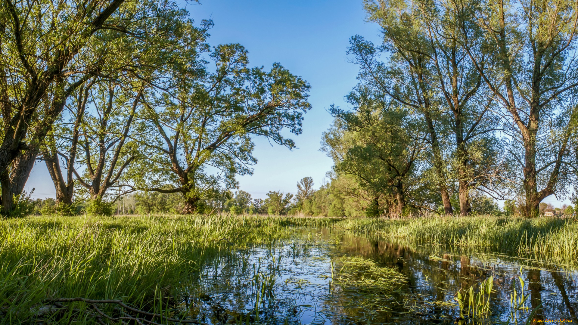 природа, реки, озера, простор