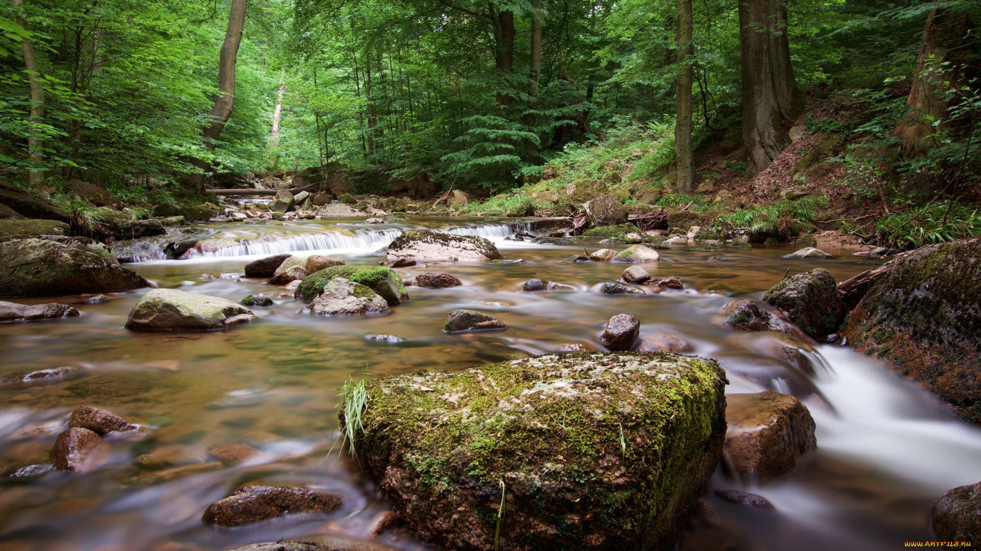 природа, реки, озера, простор