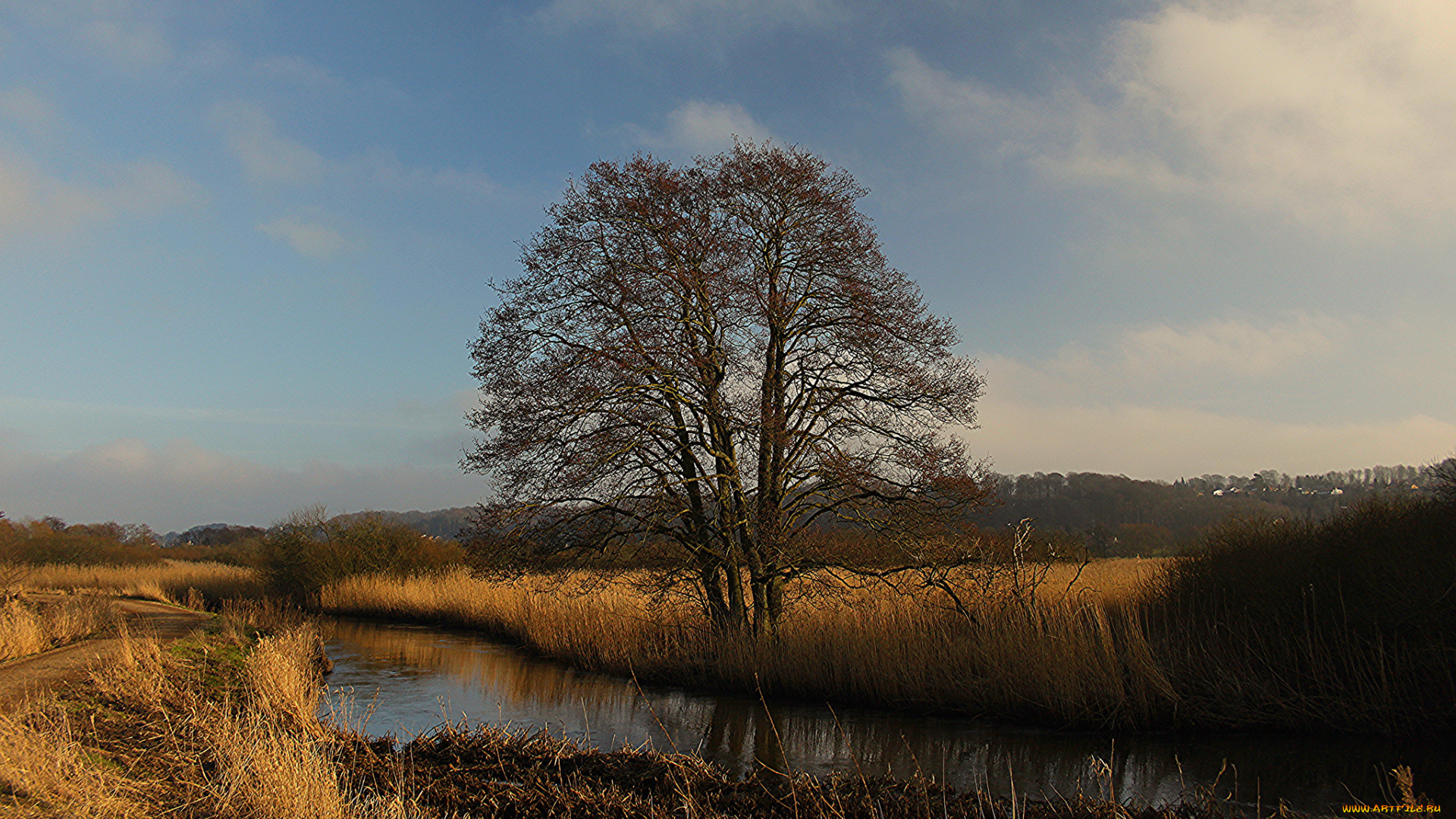 природа, реки, озера, простор