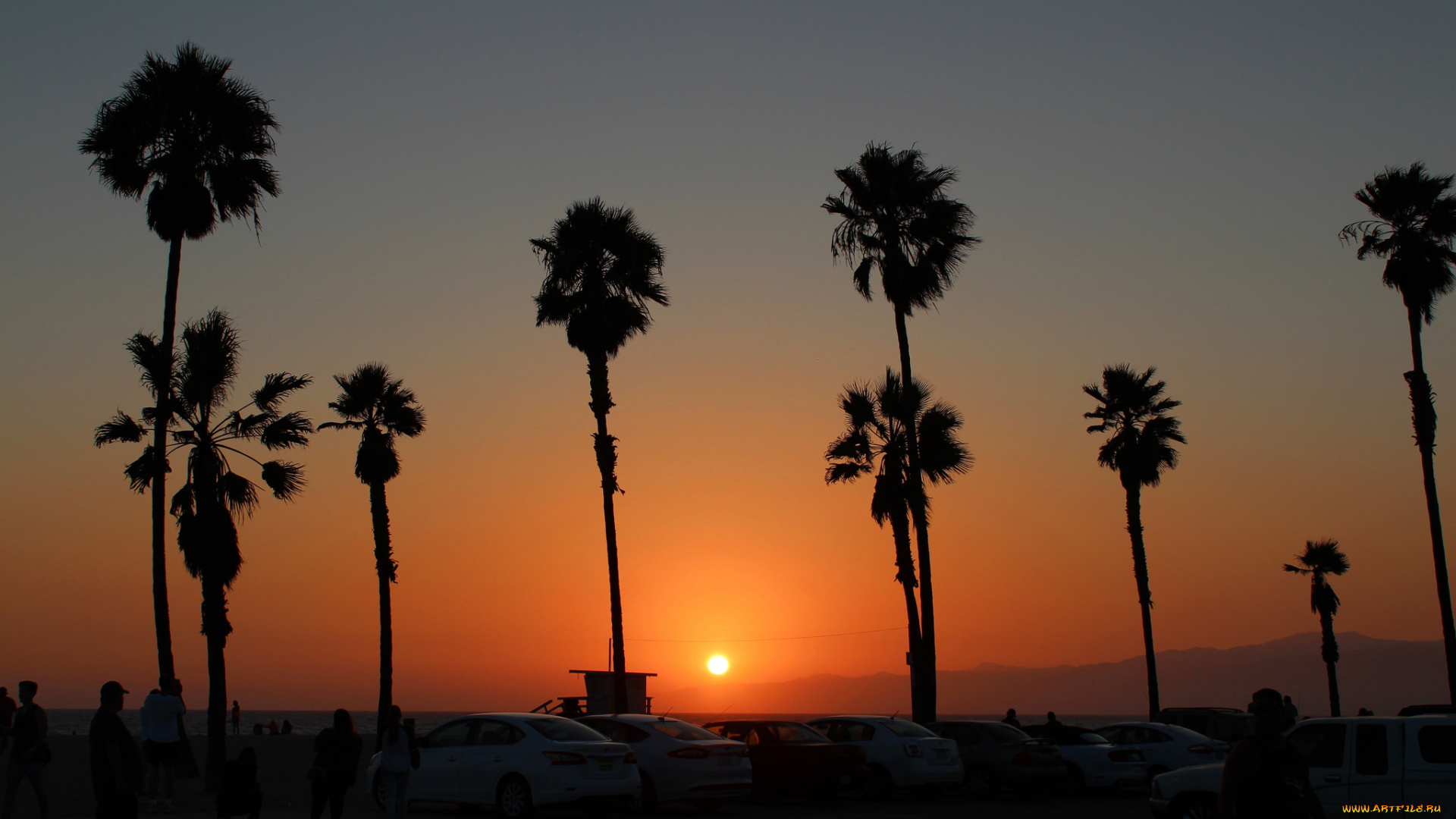 природа, тропики, простор