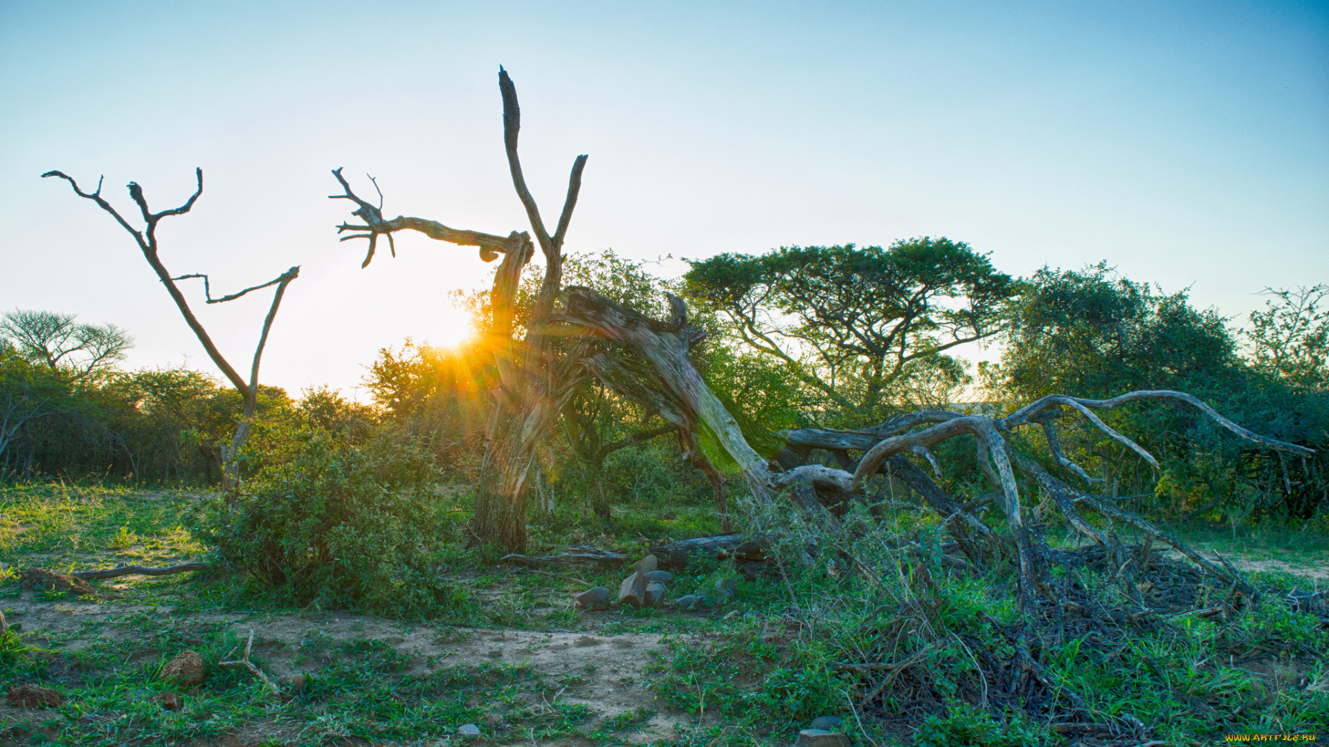 природа, восходы, закаты, простор