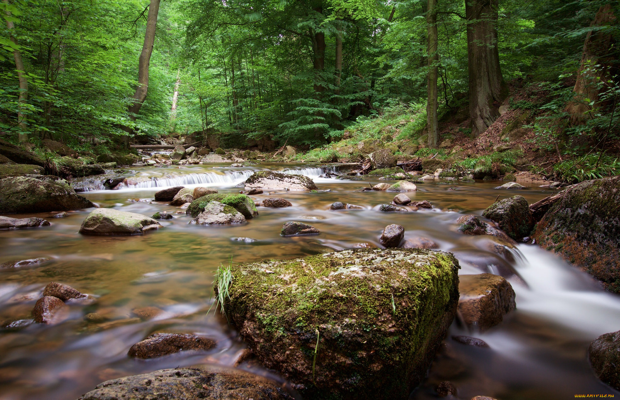 природа, реки, озера, простор