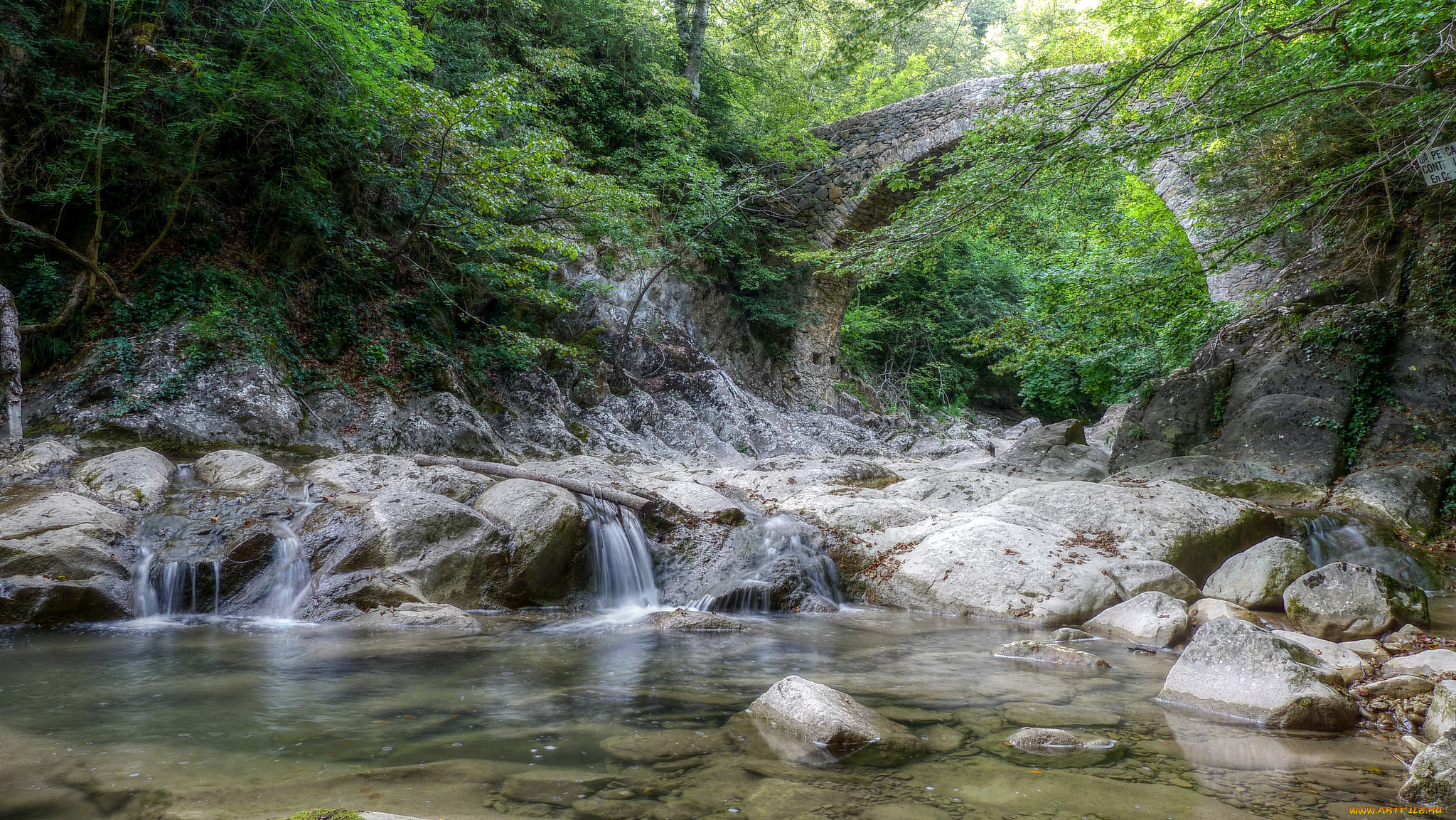 природа, реки, озера, простор