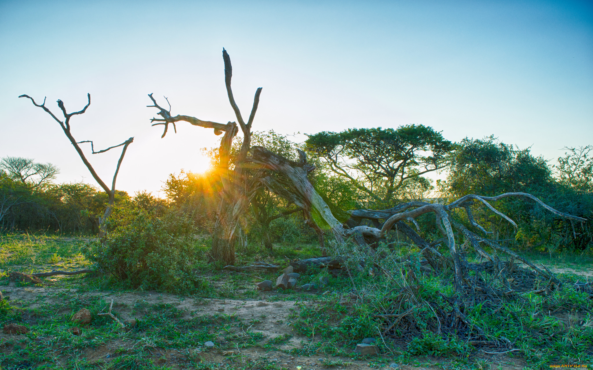 природа, восходы, закаты, простор
