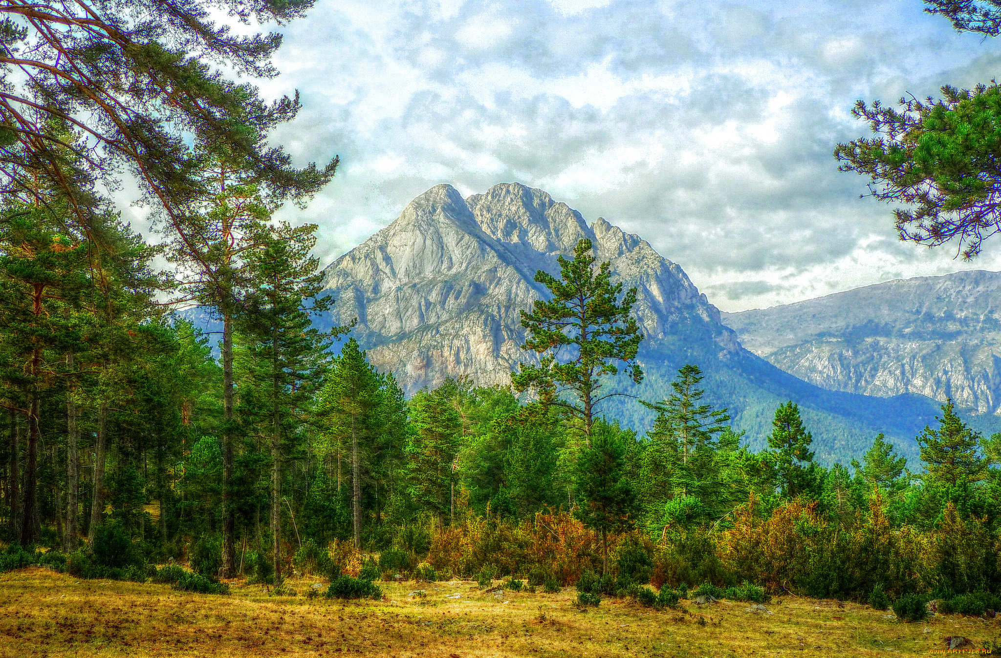 природа, горы, простор