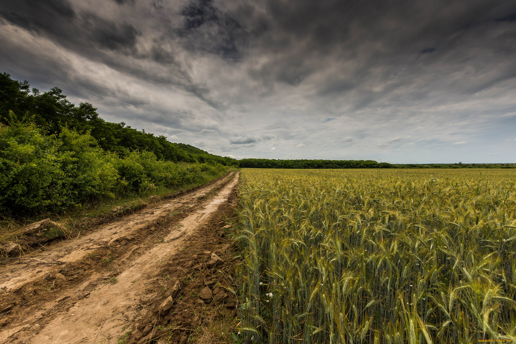 природа, дороги, простор