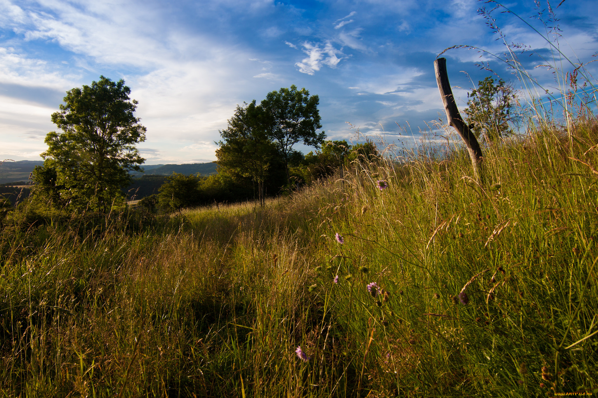 природа, пейзажи, простор