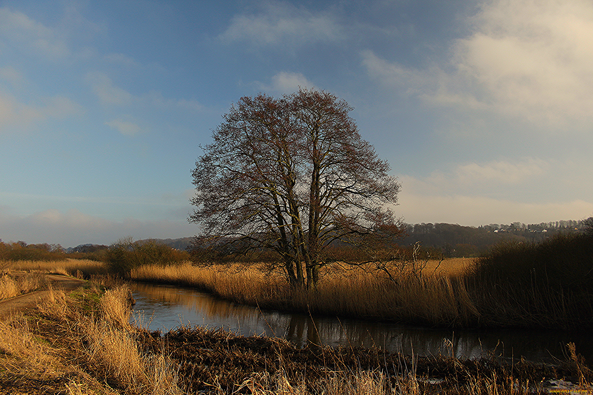 природа, реки, озера, простор