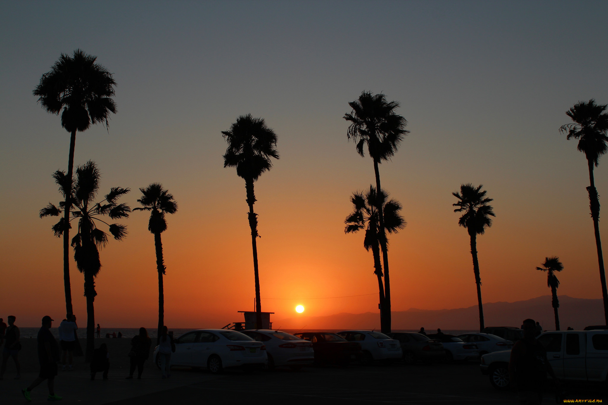 природа, тропики, простор