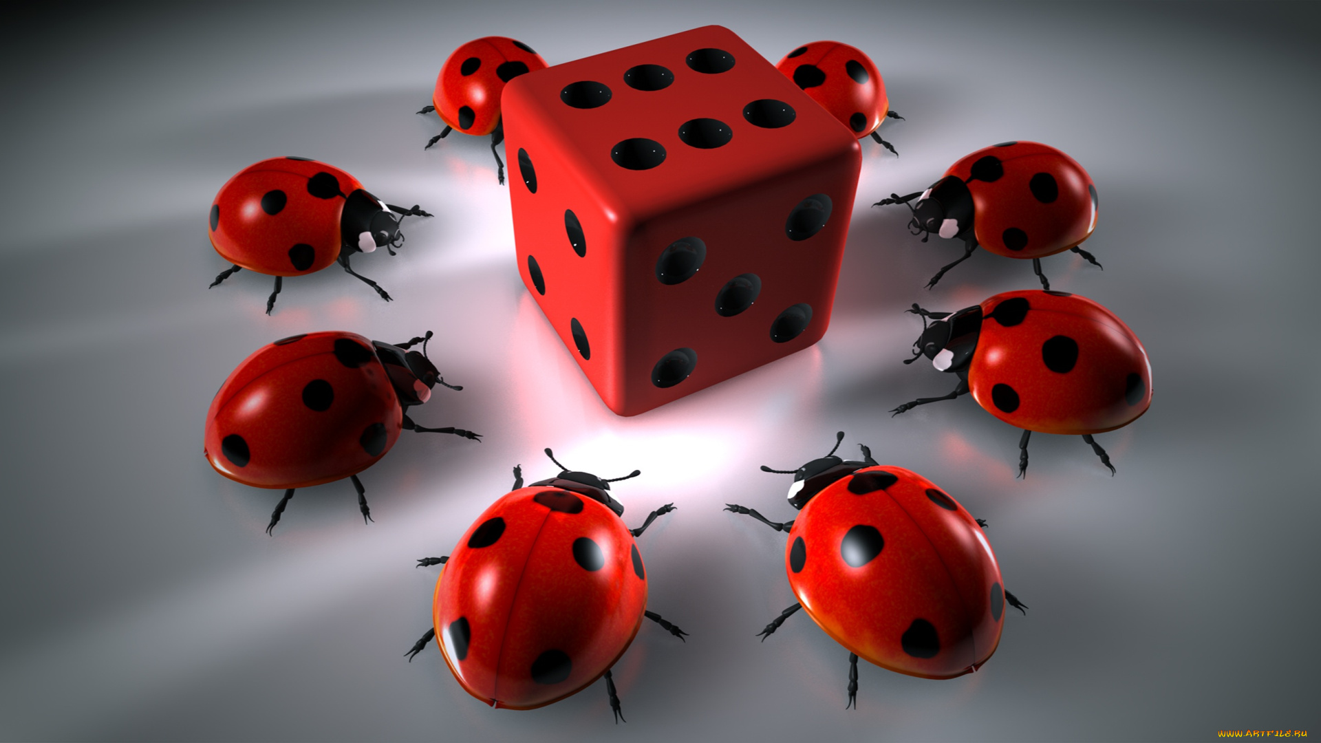 3д, графика, животные, , animals, божьи, коровки, фон, кубик