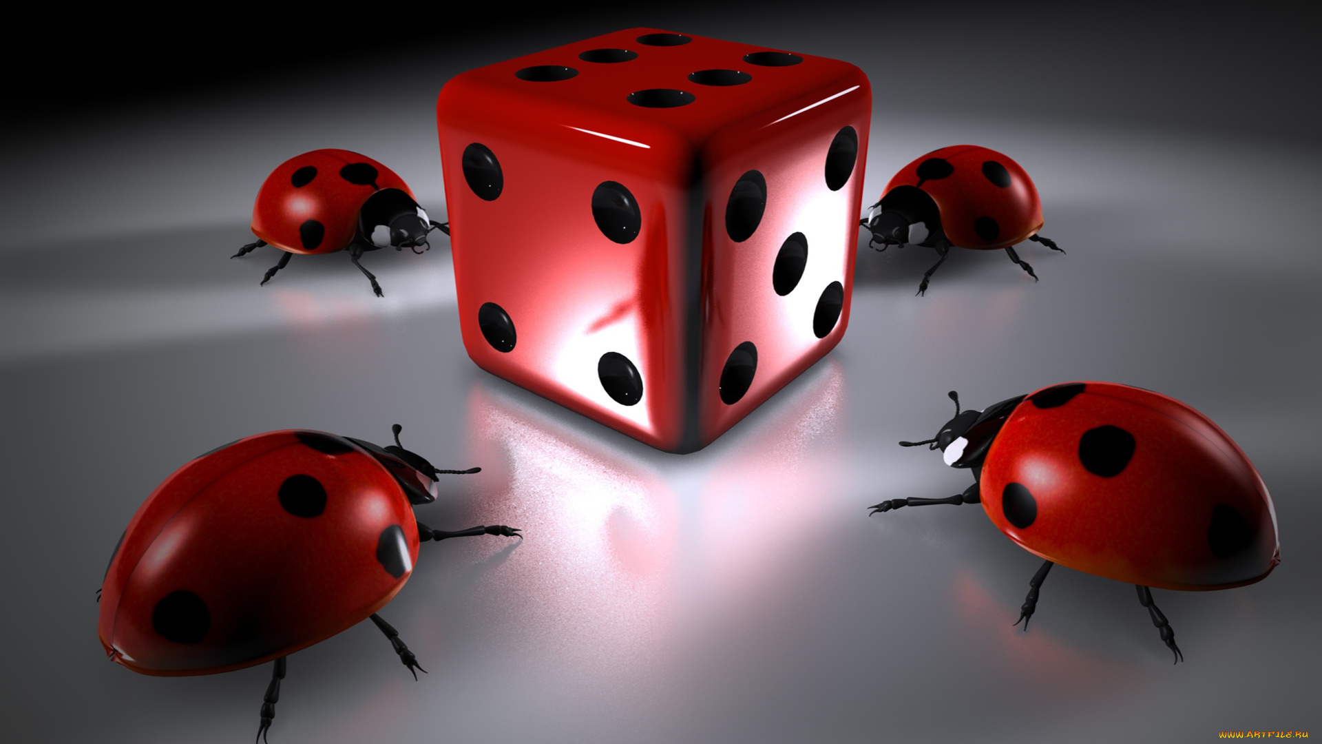 3д, графика, животные, , animals, фон, божьи, коровки, кубик