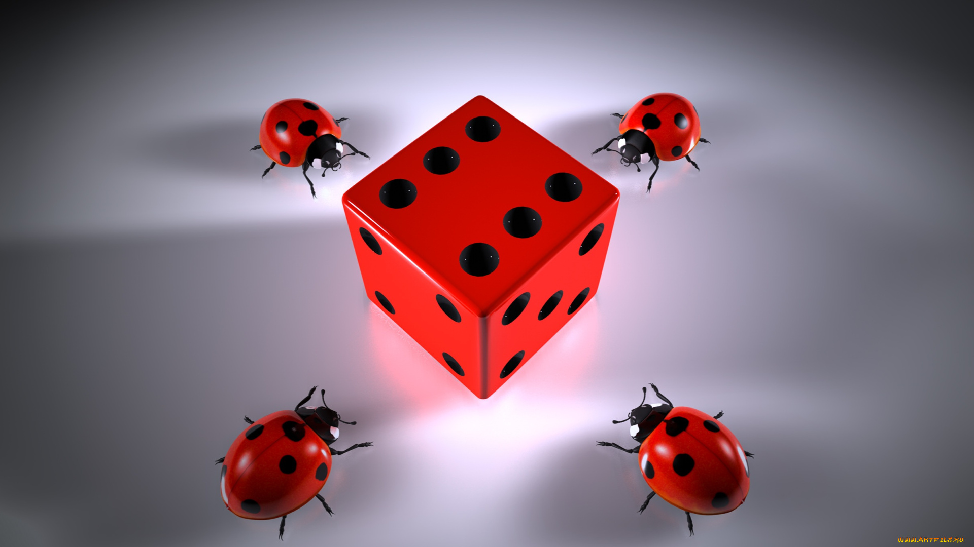 3д, графика, животные, , animals, кубик, фон, божьи, коровки