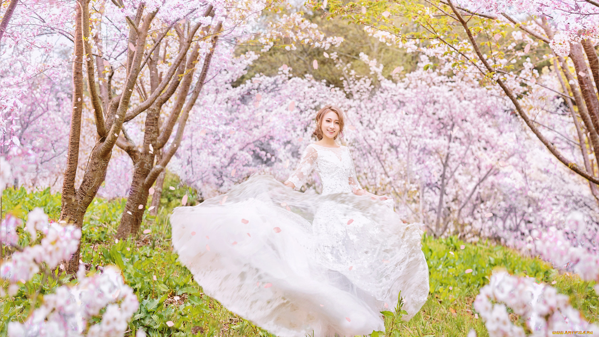 девушки, -, невесты, девушка, сад, цветы, природа, невеста