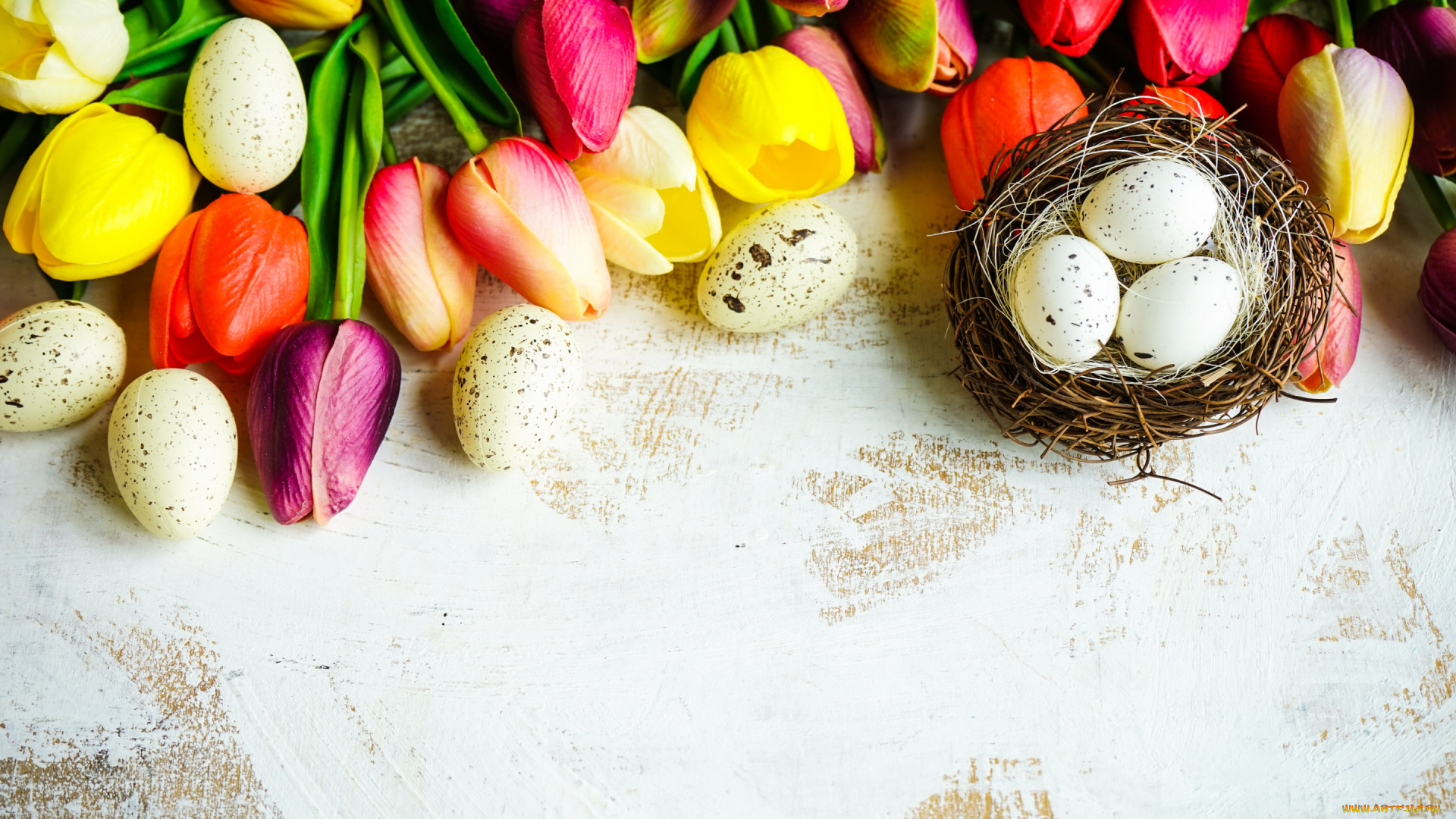 праздничные, пасха, цветы, colorful, тюльпаны, happy, flowers, tulips, easter, eggs, крашеные, яйца