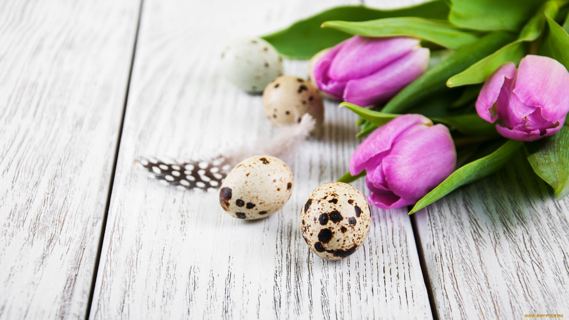 праздничные, пасха, цветы, тюльпаны, happy, flowers, tulips, easter, purple, eggs