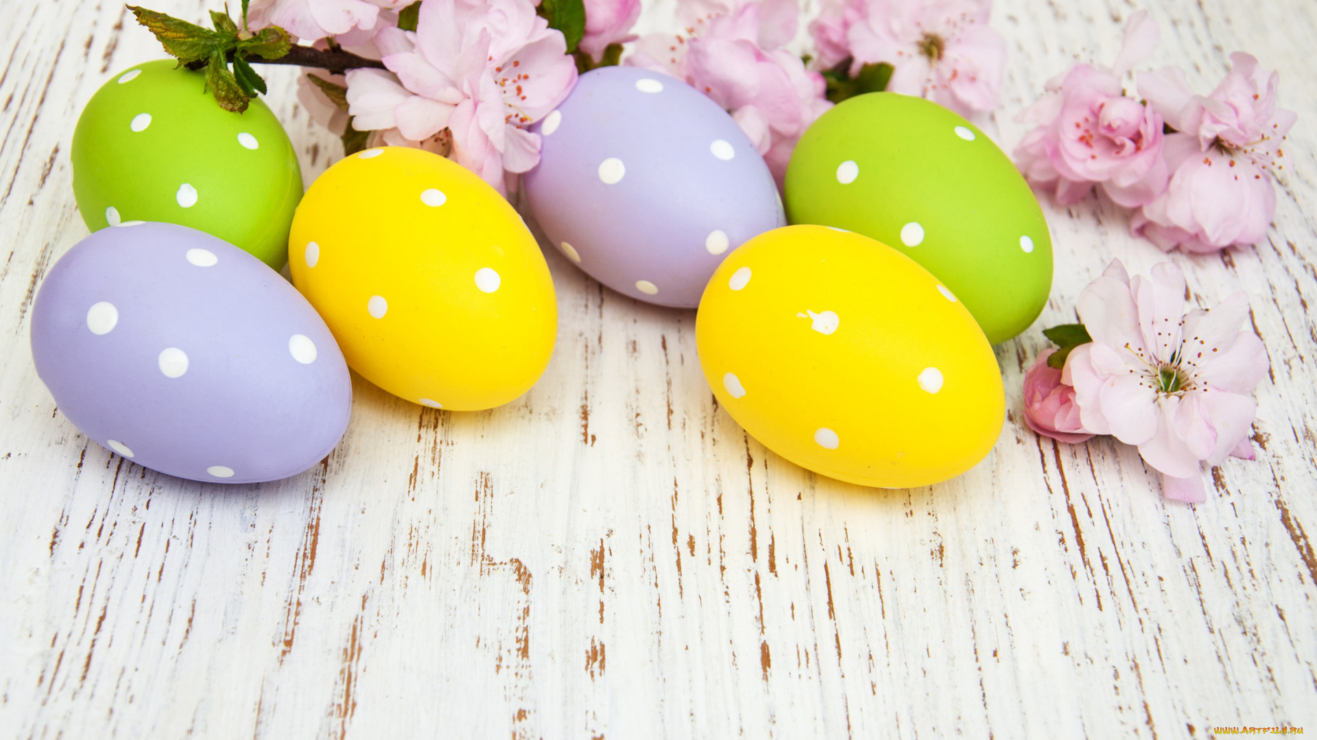 праздничные, пасха, цветы, яйца, colorful, happy, wood, blossom, flowers, spring, easter, eggs, decoration