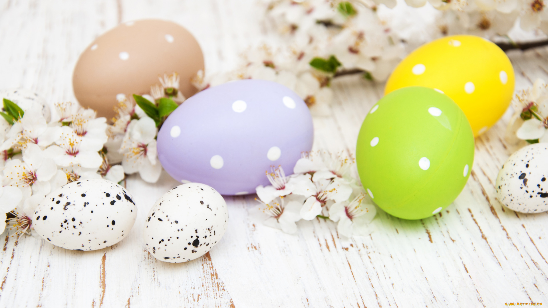 праздничные, пасха, цветы, яйца, colorful, happy, wood, blossom, flowers, spring, easter, eggs, decoration