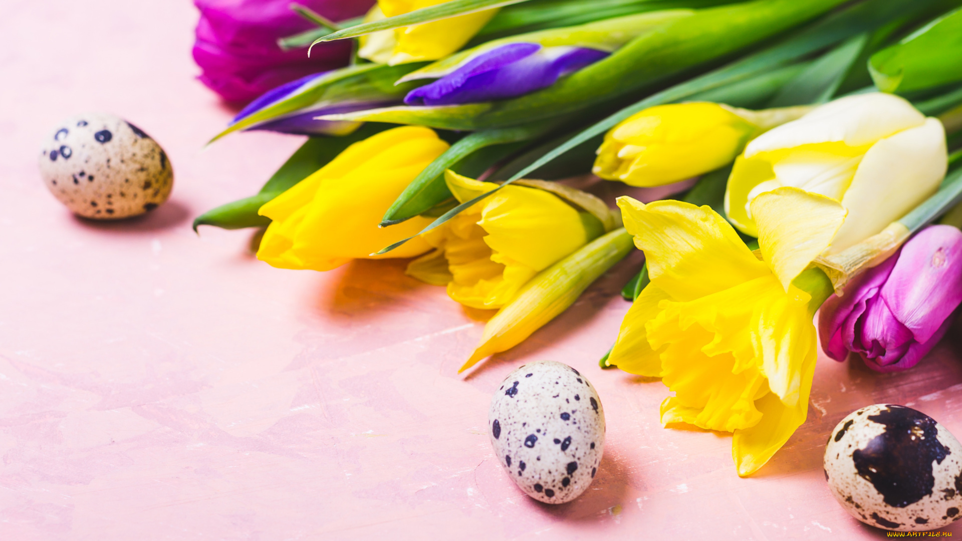 праздничные, пасха, цветы, яйца, colorful, тюльпаны, happy, flowers, tulips, easter, eggs