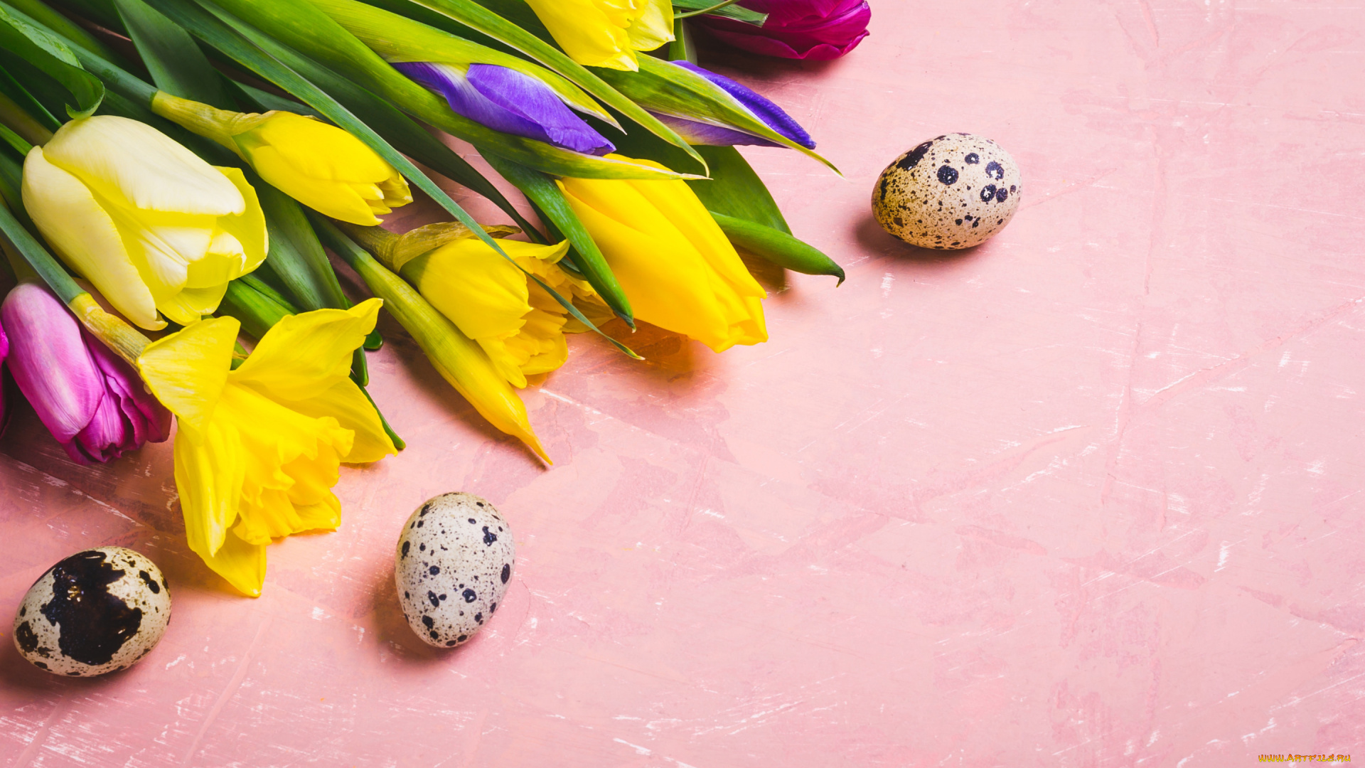 праздничные, пасха, цветы, яйца, colorful, тюльпаны, happy, flowers, tulips, easter, eggs