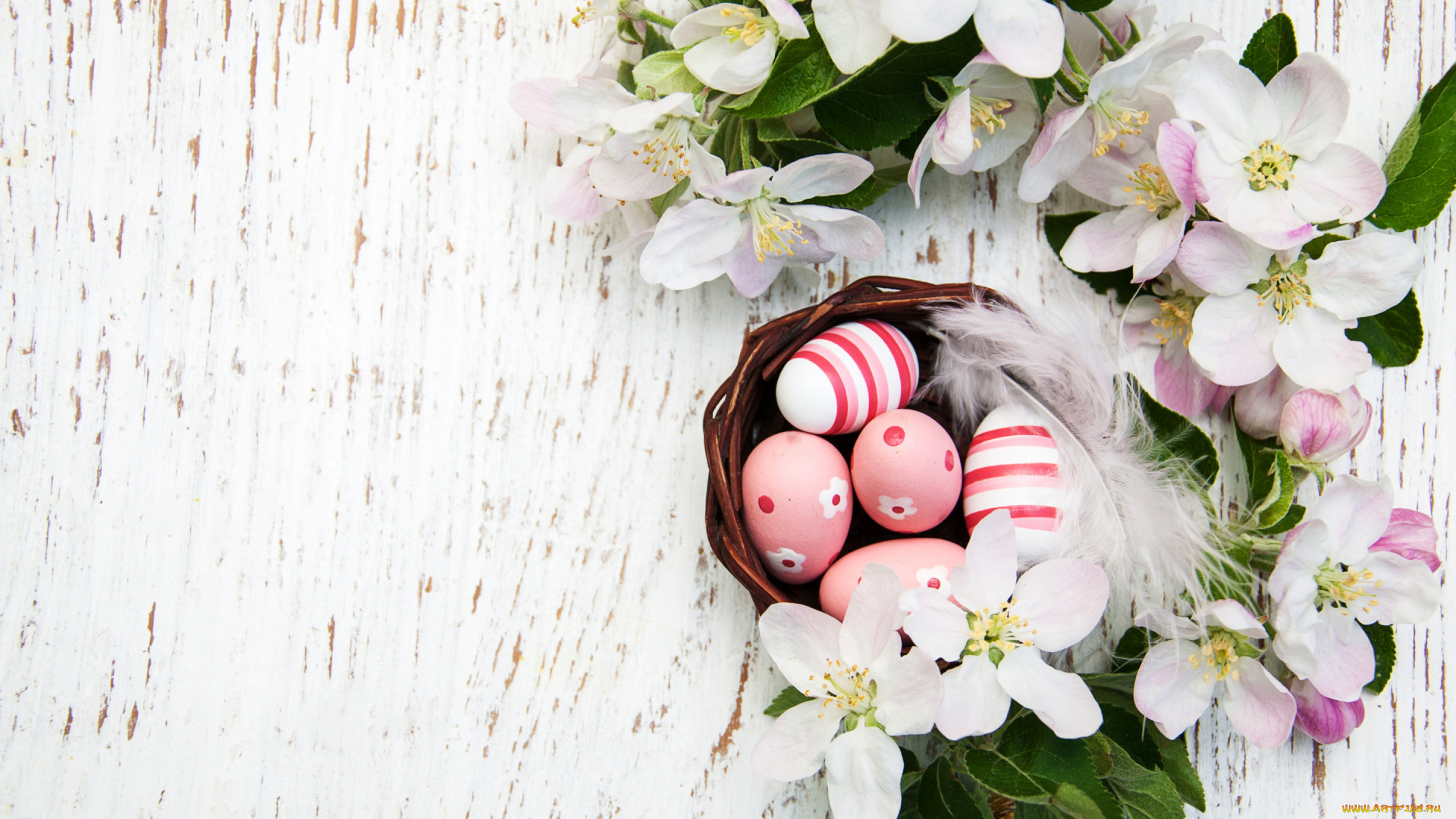 праздничные, пасха, ветки, праздник, яйца, гнездо, крашенки, композиция, eggs