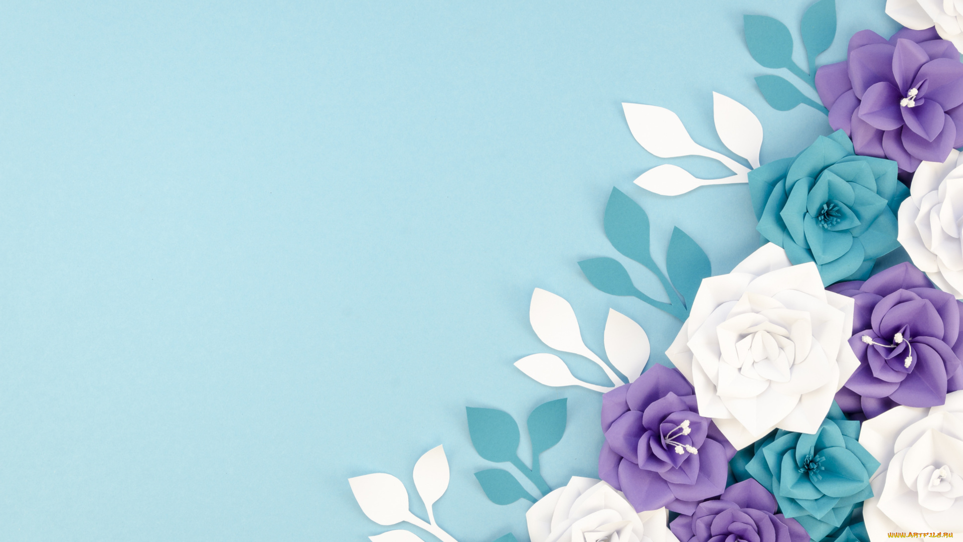 векторная, графика, цветы, , flowers, цветы, бумага, фон, голубой