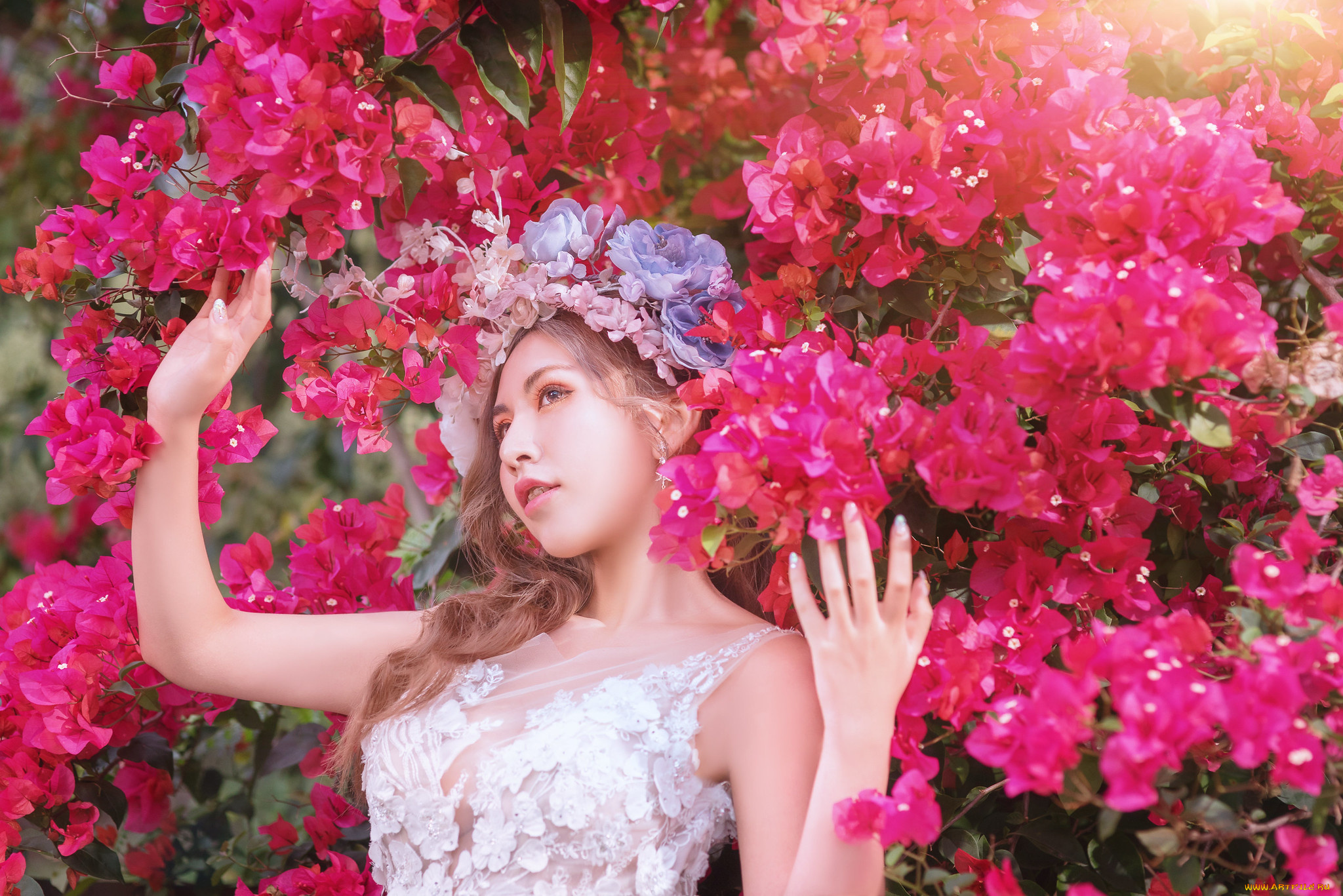 девушки, -, азиатки, девушка, азиатка, цветы, венок, лицо