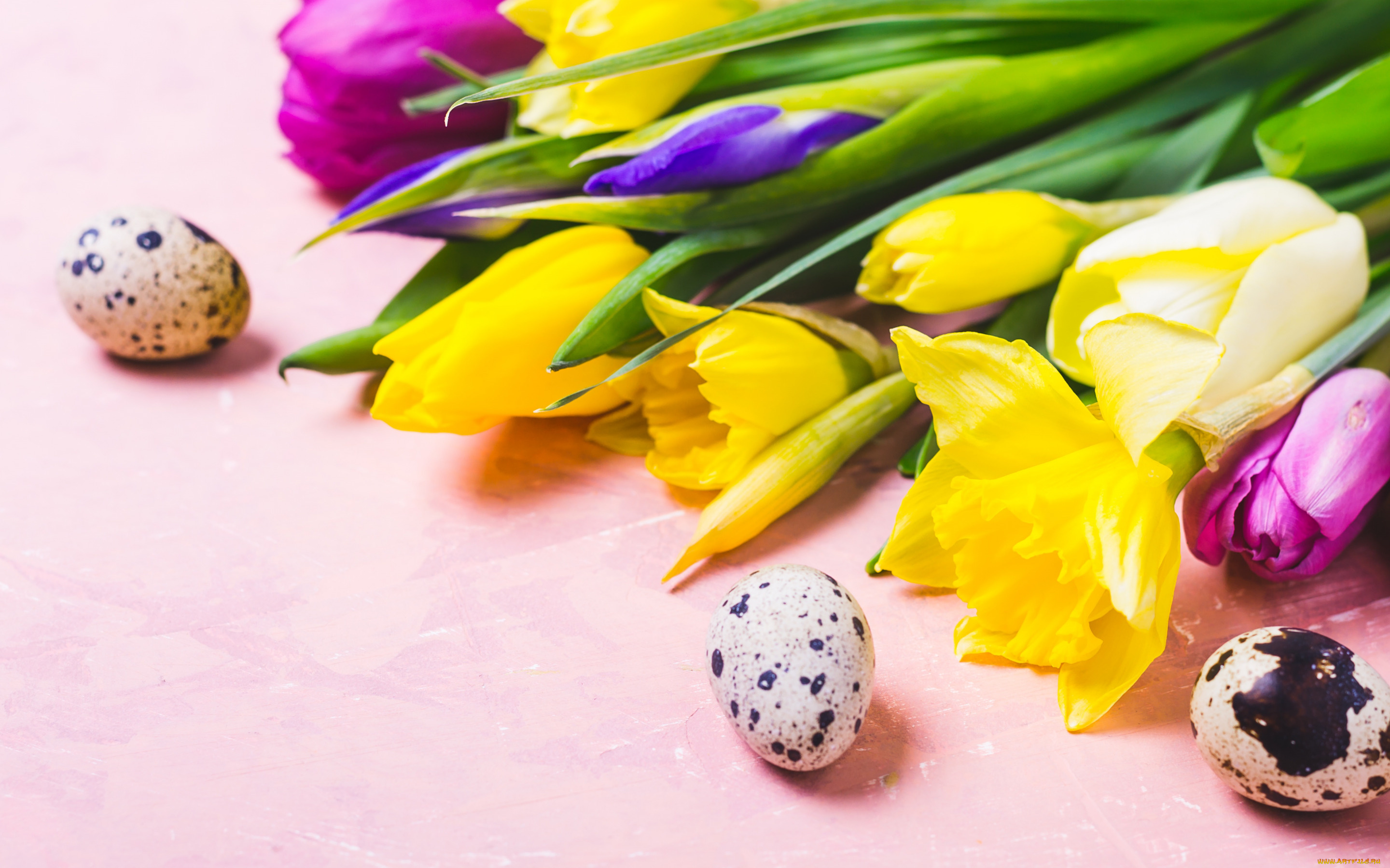 праздничные, пасха, цветы, яйца, colorful, тюльпаны, happy, flowers, tulips, easter, eggs