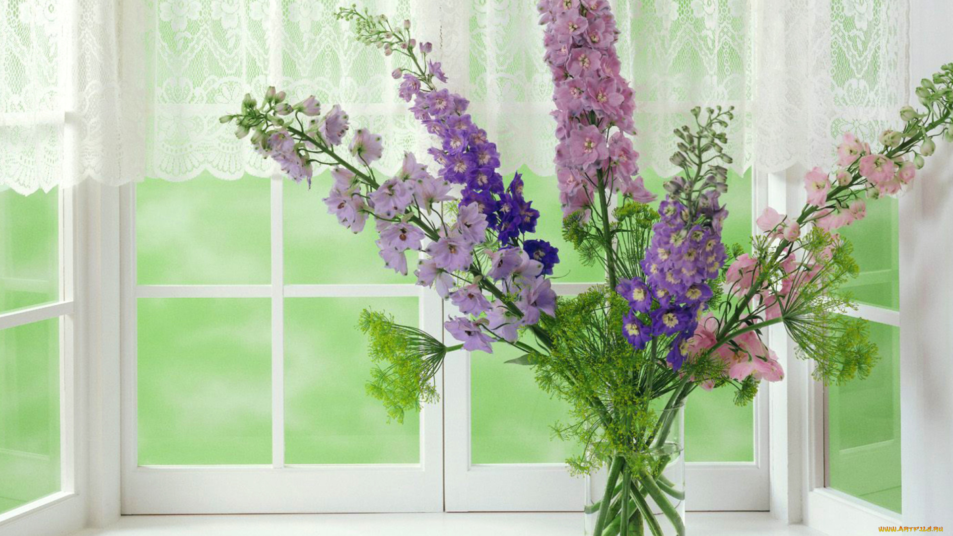 цветы, букеты, , композиции, букет, стакан, окно