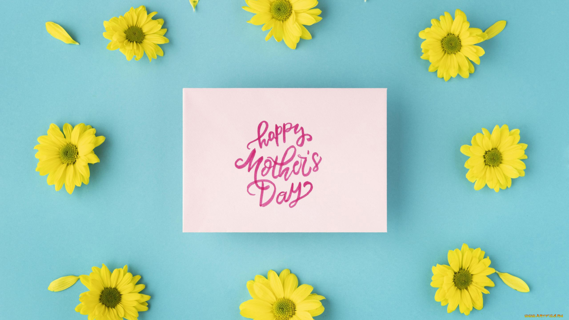 праздничные, день, матери, хризантемы, лепестки, надпись