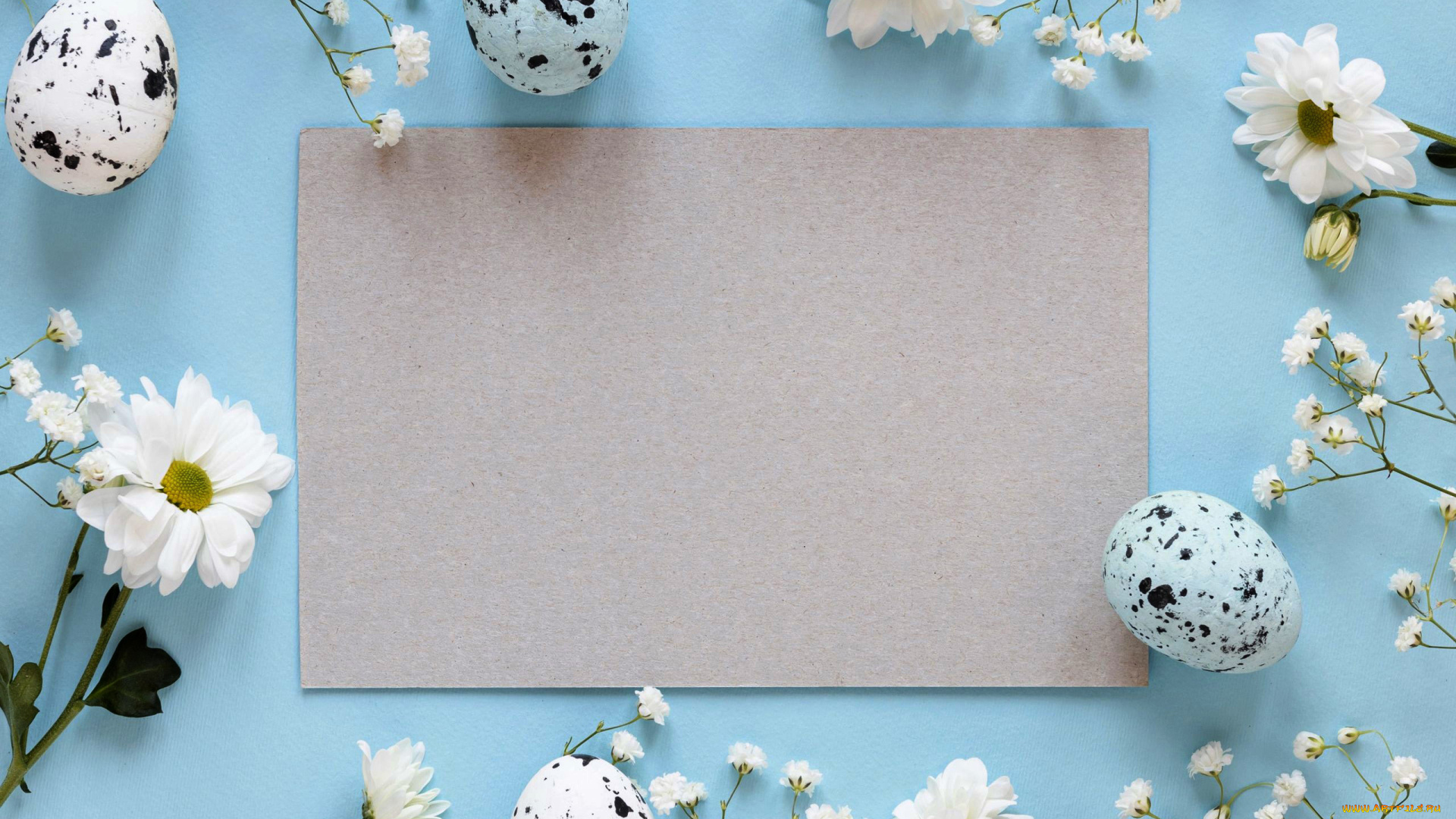 праздничные, пасха, хризантемы, крашенки