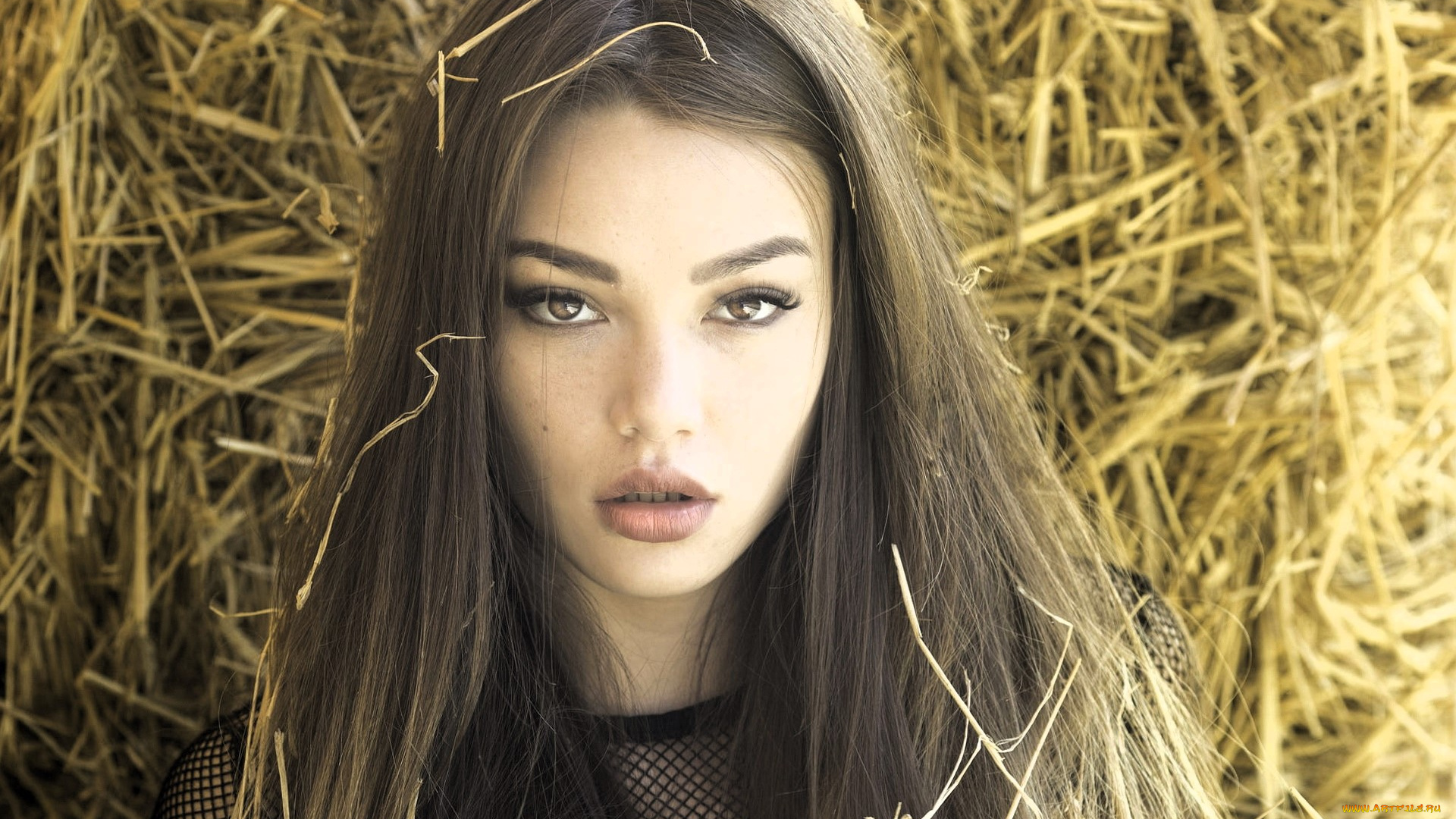 девушки, -, лица, , портреты, русая, лицо, сено