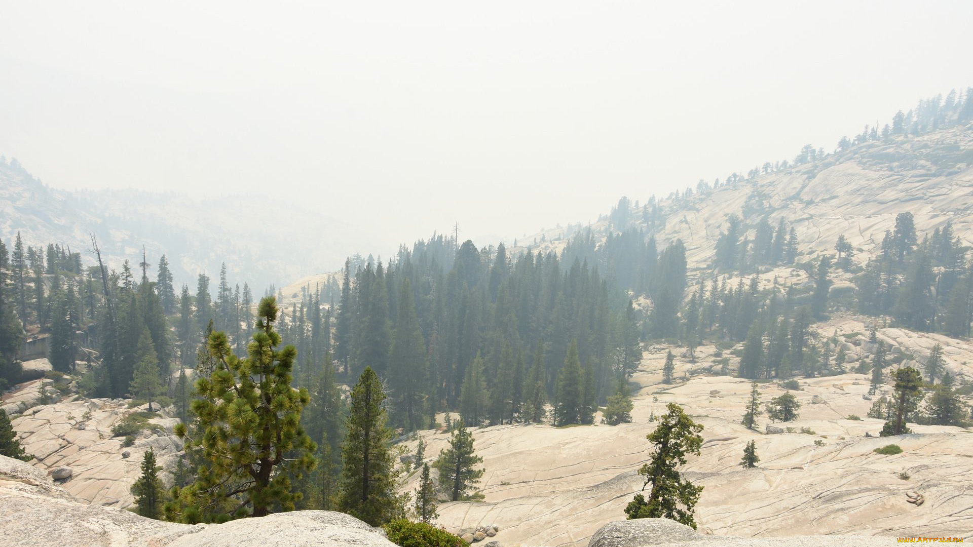 национальный, парк, yosemite, природа, лес, пейзаж, йосемитский, национальный, парк, деревья