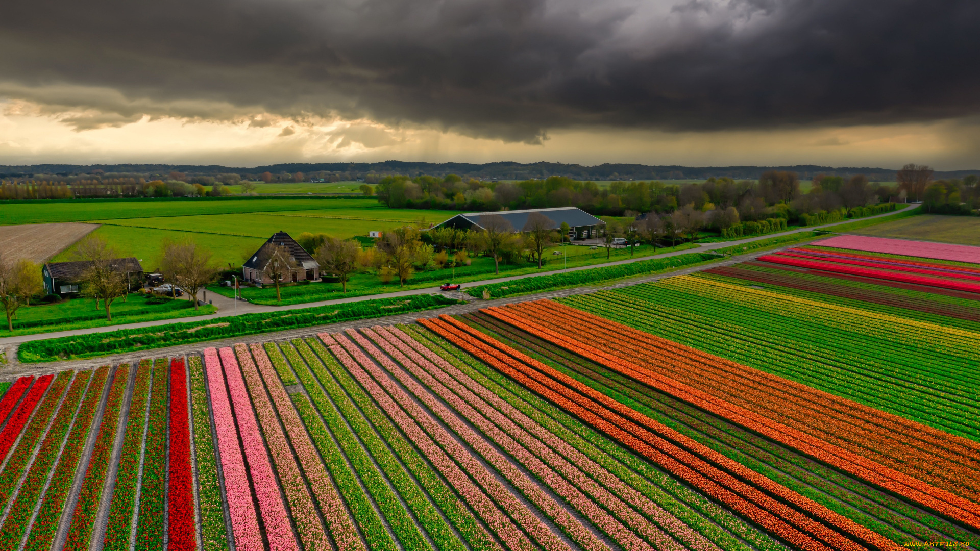 природа, поля, поле