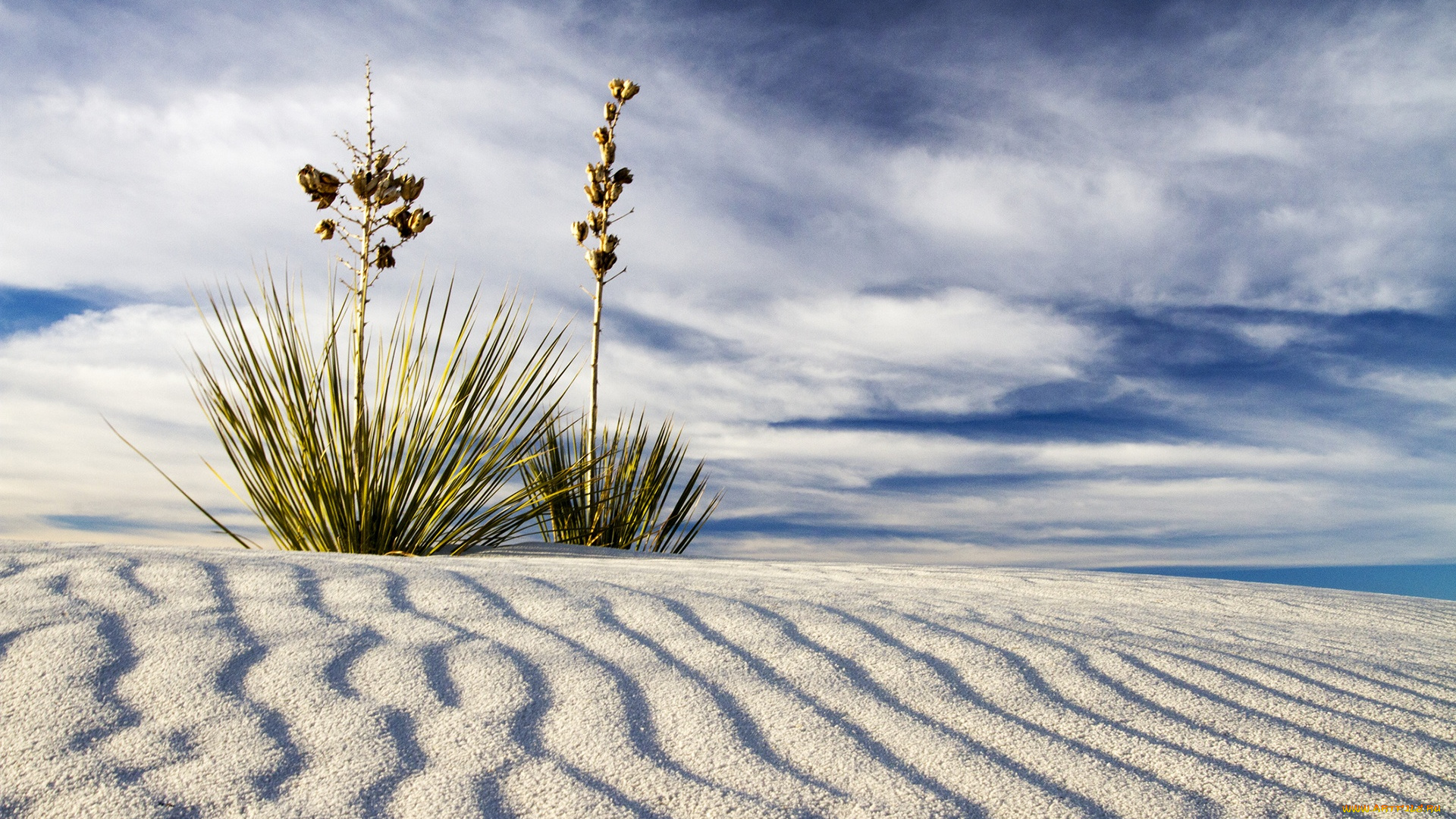 природа, пустыни, песок, волны