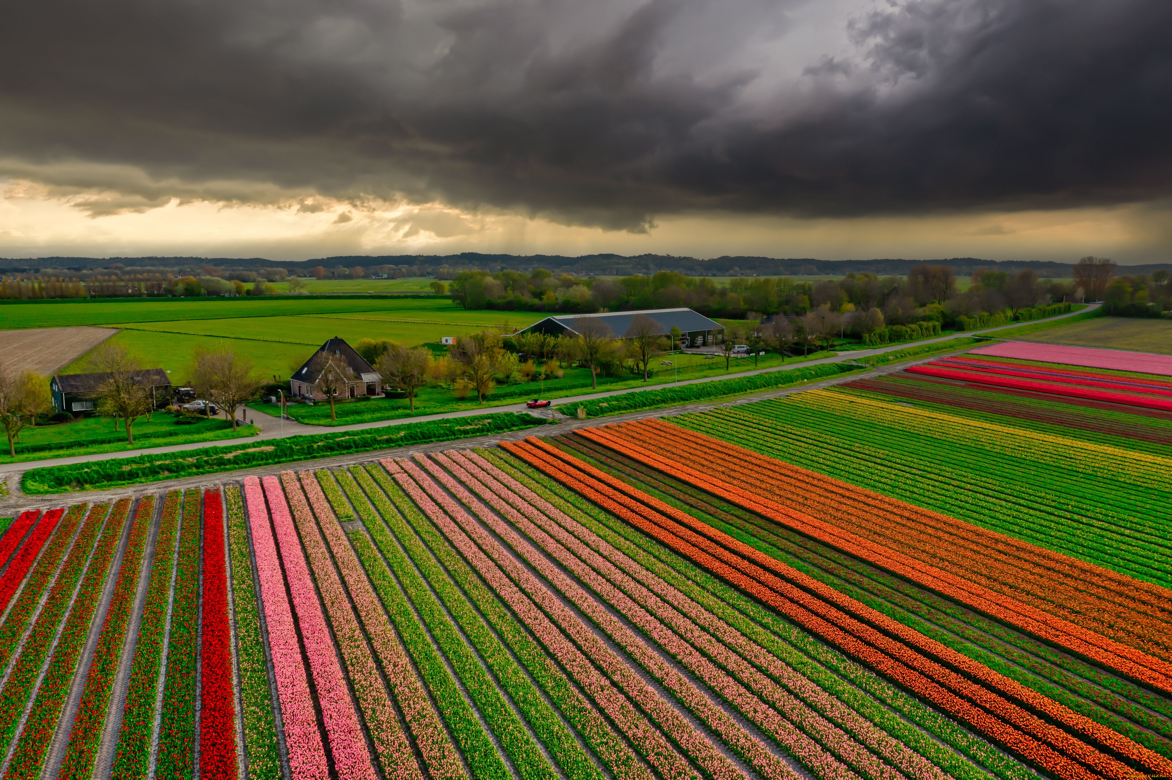 природа, поля, поле