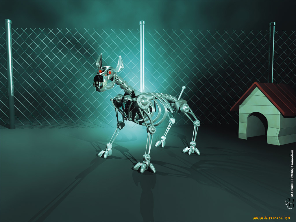 linux, компьютеры