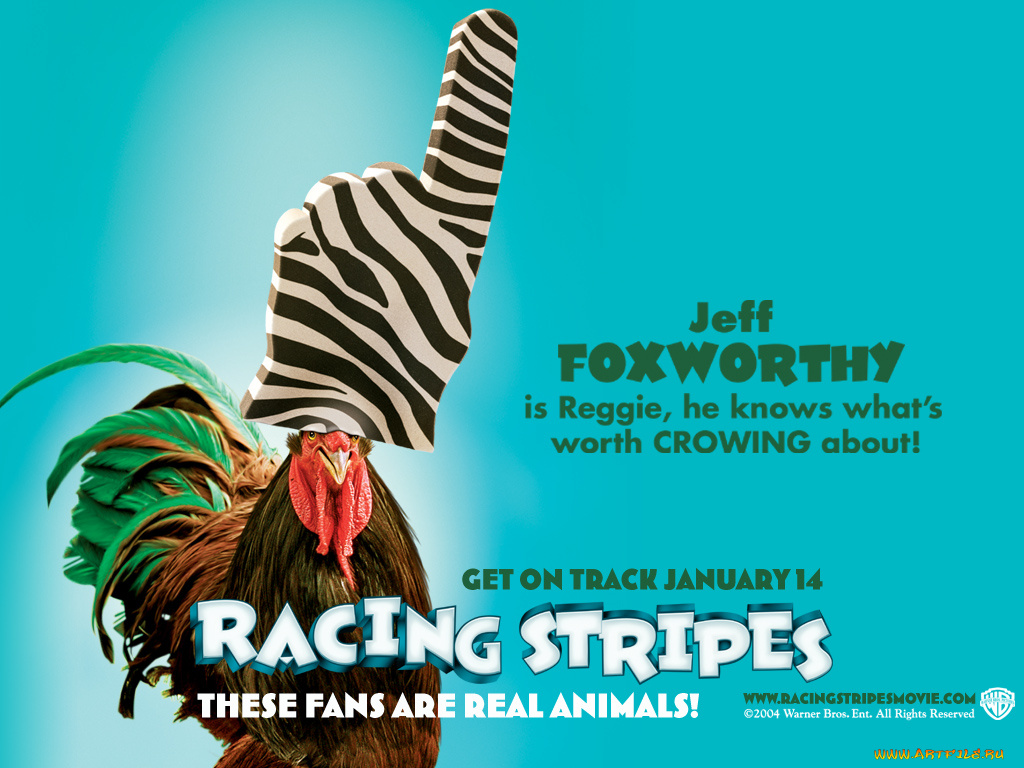 racing, stripes, 02, мультфильмы