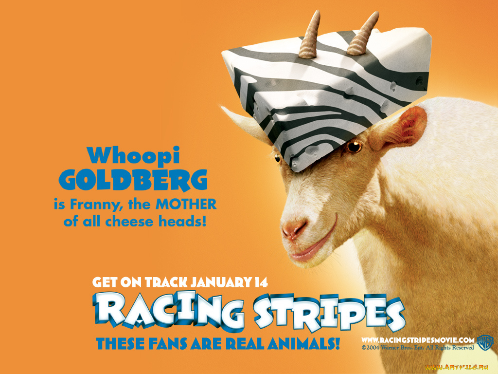 racing, stripes, 03, мультфильмы