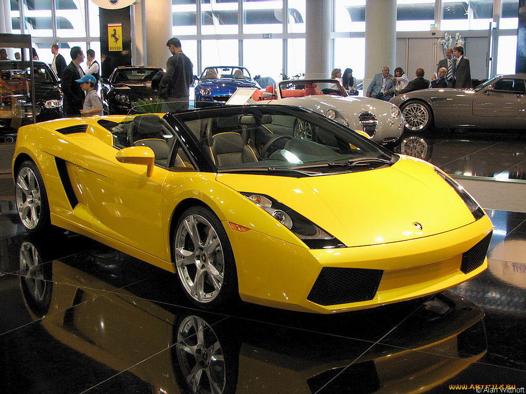 lamborghini, gallardo, spyder, автомобили, выставки, уличные, фото