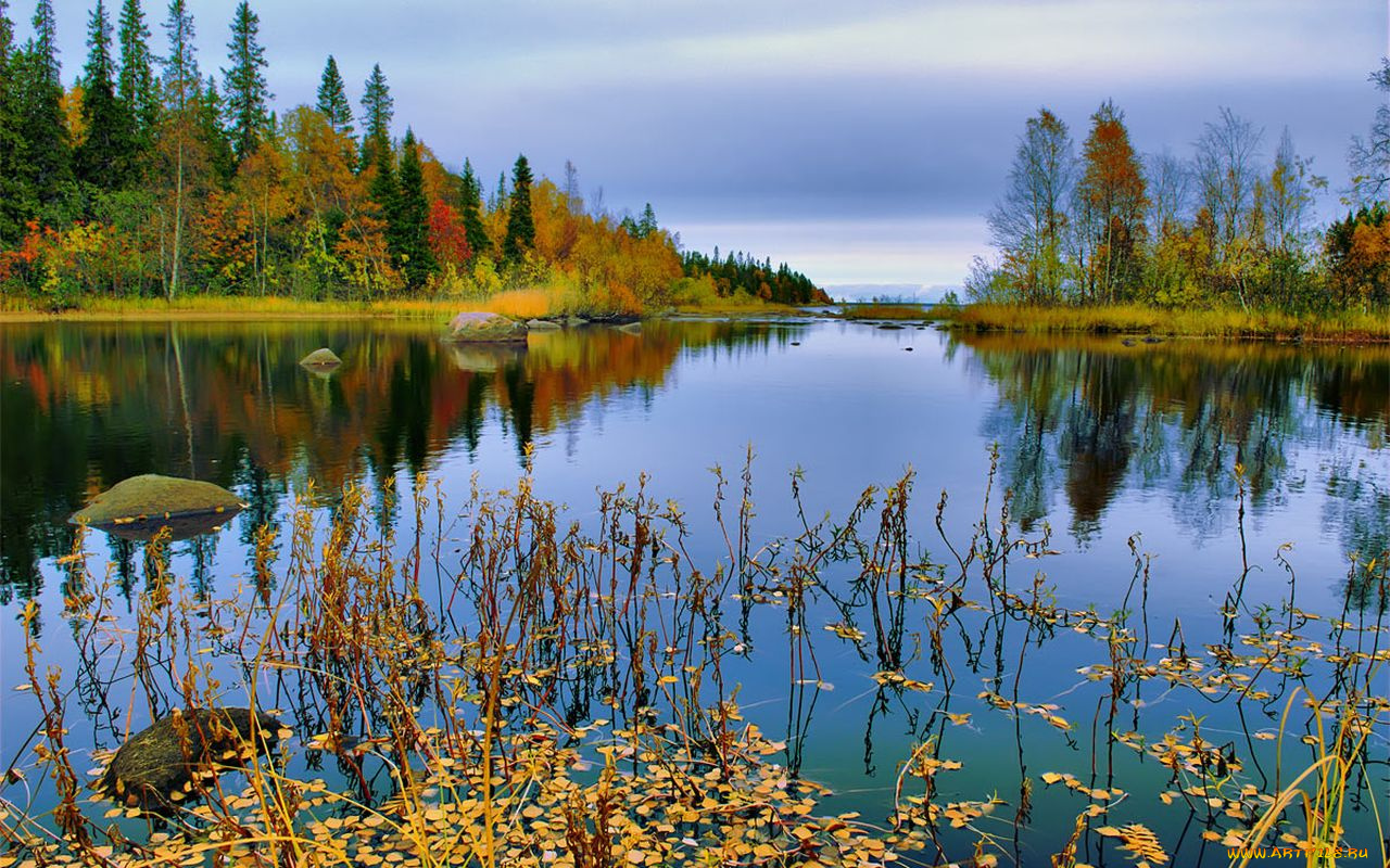 природа, реки, озера