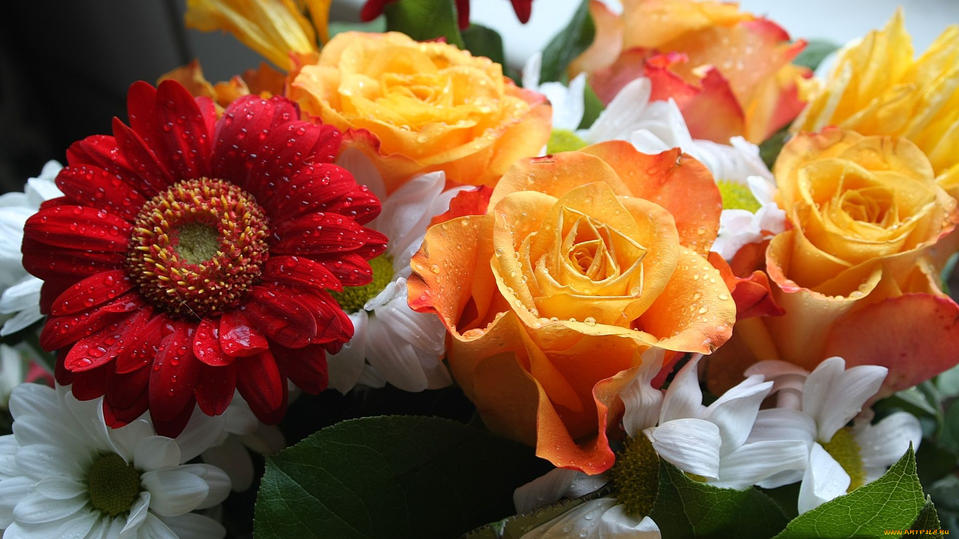 цветы, букеты, композиции