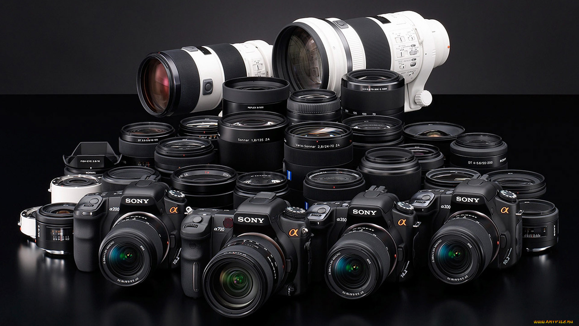 sony, alfa, бренды