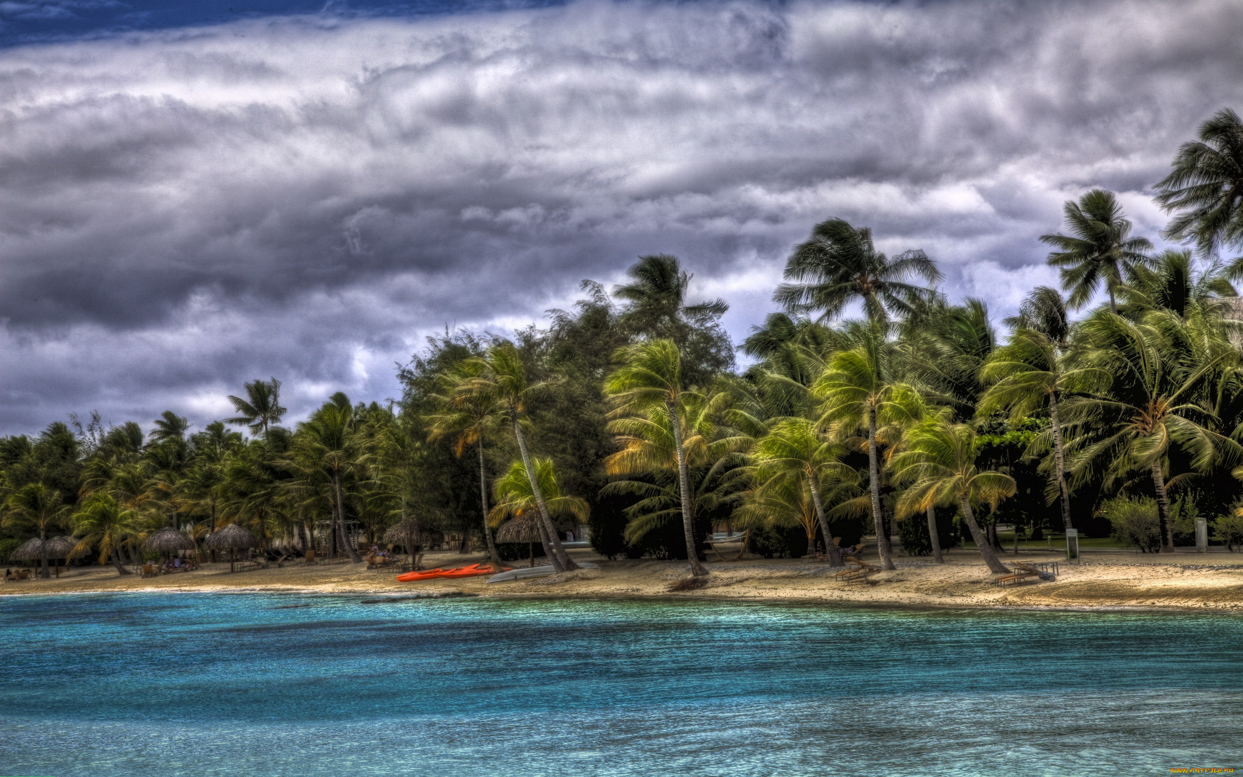 природа, тропики