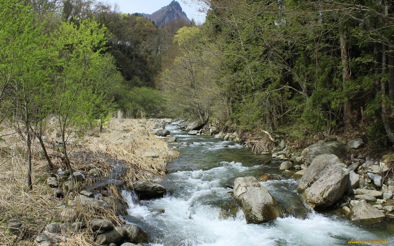 природа, реки, озера